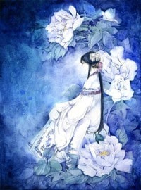 穿到天龙去修仙